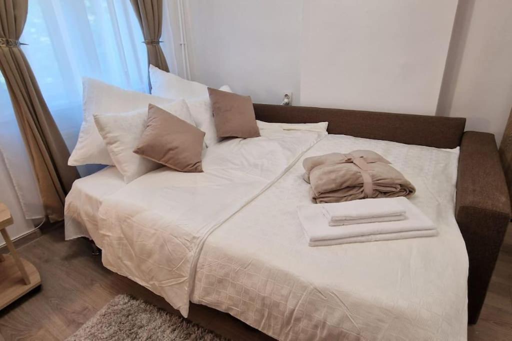 Apartment Little And Cozy Breakfast Included Timişoara